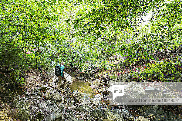 Aktiver älterer Mann steht auf einem Felsen im Wald