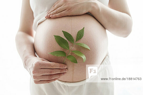 Schwangere Frau hält Blätter über Bauch