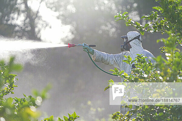 Farm worker spraying pesticide wearing protective suit