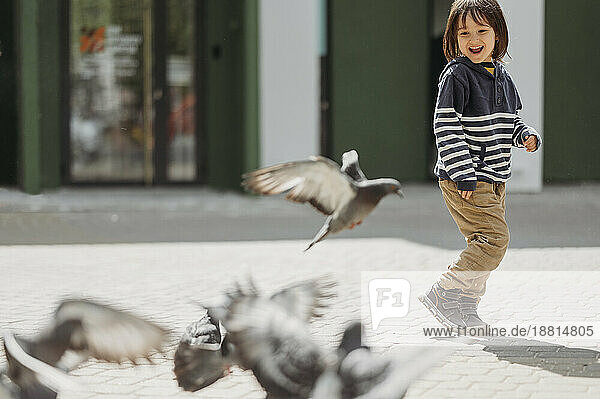 Happy boy playing with pigeons at park