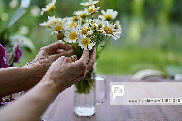 Hands of senior woman touching daisy flowers in vase at home