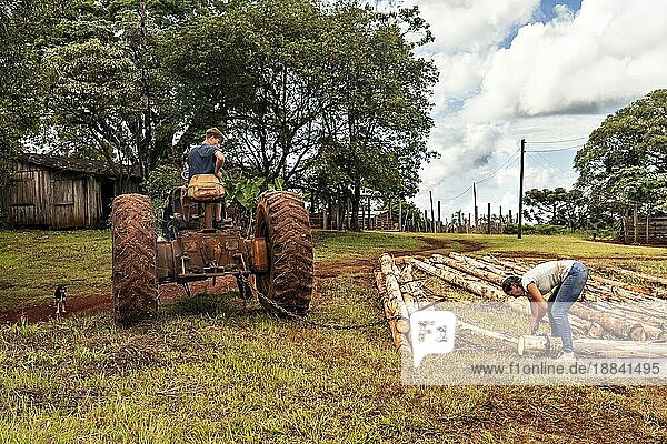 Eine Szene mit Menschen  die auf einem Feld arbeiten. Eine Frau bringt eine Kette an einem Baumstamm an  der von einem Traktor gezogen wird
