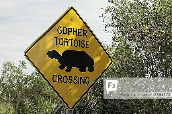 Straßenschild 'Gopher Tortoise crossing'  Florida  USA  Straßenschild 'Gopher-Schildkröten queren die Fahrbahn'  Florida  USA  Nordamerika