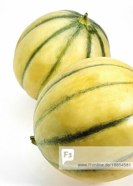 Cavaillon Melone (cucumis melo)  Frucht gegen weißen Hintergrund