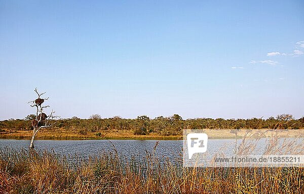 Waterhole Transport Dam in Kruger National Park  S