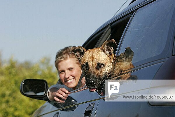 Frau und Mischlingshund schauen aus Auto