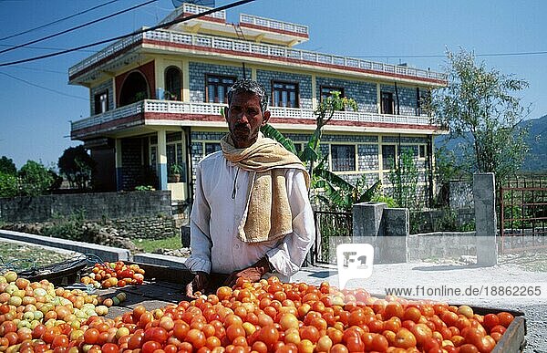 Gemüsehändler mit Tomaten  Pokhara  Nepal  Asien