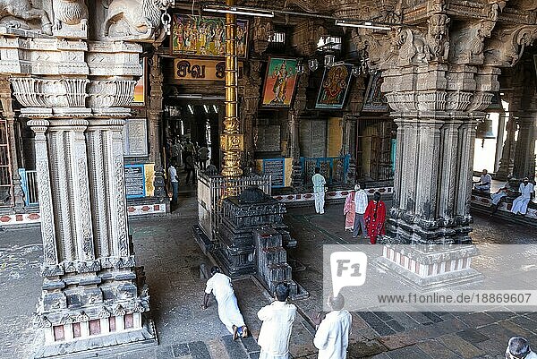 Riesige Säulen im zweiten Prakara Korridor des Thillai Nataraja Tempels  Chidambaram  Tamil Nadu  Südindien  Indien  Asien
