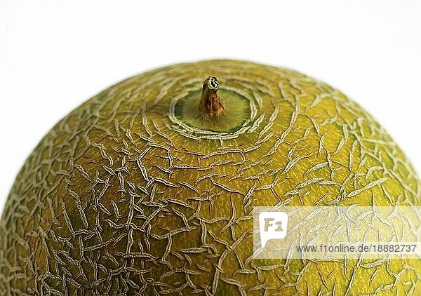 Italienische Melone (cucumis melo)  Frucht gegen weißen Hintergrund