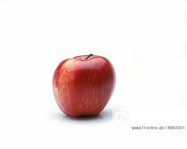 Malus domestica  Kulturapfel  Apfel  Äpfel  Rosengewächse  PINK LADY APPLE malus domestica vor weissem Hintergrund