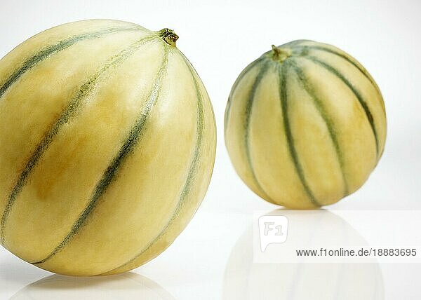Cavaillon Melone (cucumis melo)  Früchte auf weißem Hintergrund