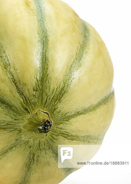 Cavaillon Melone (cucumis melo)  Frucht auf weißem Hintergrund