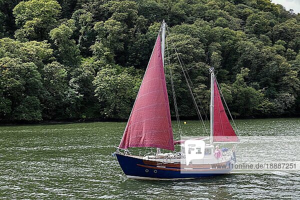 Am 29. Juli 2012 segeln sie den Fluss Dart hinauf in Richtung Totnes  Devon. Zwei nicht identifizierte Personen  TOTNES  DEVON  Großbritannien  Europa