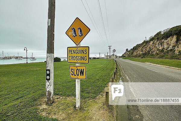 Pinguine kreuzen Schild in den Straßen von Oamaru  Neuseeland  Ozeanien