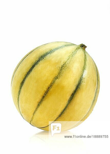 Cavaillon Melone (cucumis melo)  Frucht auf weißem Hintergrund