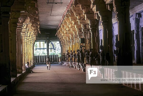 Korridor im Nellaiappar-Tempel Tirunelveli  Tamil Nadu  Südindien  Indien  Asien