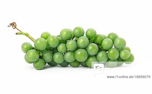 Frische Weintraubenfrüchte vor weißem Hintergrund
