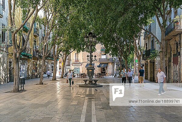 La Ribera im historischen Zentrum Ciutat Vella. Viele schattige Plätze und Brunnen stehen den Bürgern in der Altstadt Barcelonas zur Verfügung. Die Plätze erinnern an historische Gebäude oder Bürger