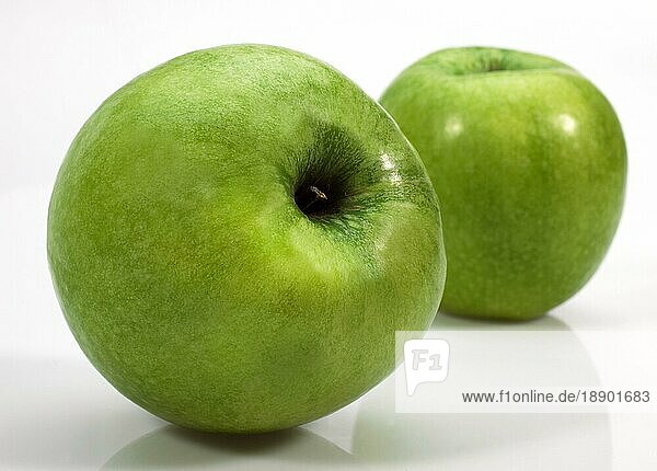 Malus domestica  Kulturapfel  Apfel  Äpfel  Rosengewächse  Granny Smith Apple  malus domesticas vor weissem Hintergrund