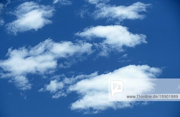Clouds  Cumuluswolken  Himmel  sky  blau  blue  weiß  white  Querformat  horizontal