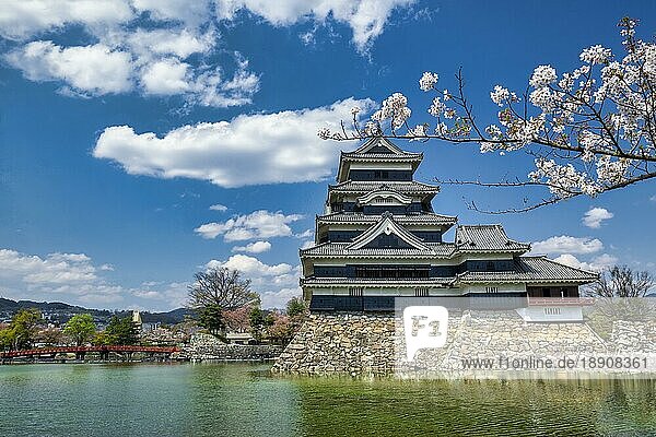 Schloss Matsumoto Japan. Kirschblüte