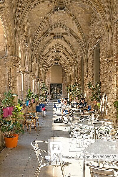 Die Bar befindet sich im Hinterhof eines alten Klosters. In dem ehemaligen Kloster befinden sich auch eine Bibliothek und Teile der Universität von Barcelona. Die Cafeteria befindet sich im Stadtteil La Ribera