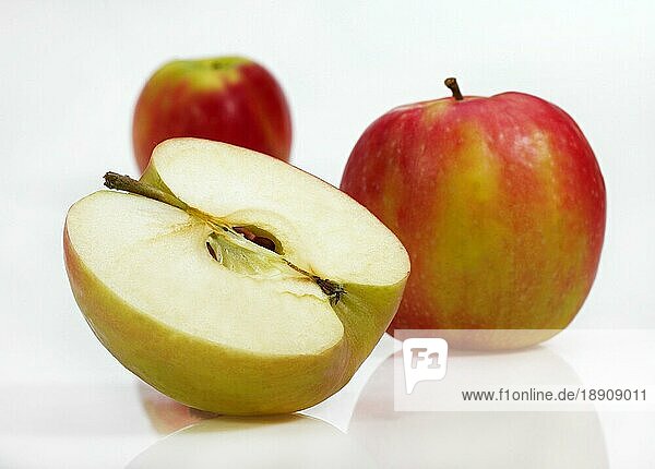 Malus domestica  Kulturapfel  Apfel  Äpfel  Rosengewächse  Pink Lady Apples  malus domestica  vor weissem Hintergrund