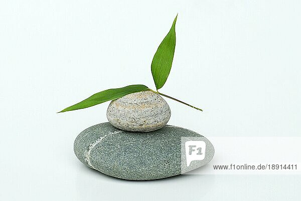 Gestapelte Steine mit Bambusblatt (Phyllostachys bambusoides)  Stapel  Bambus  Freisteller  Objekt