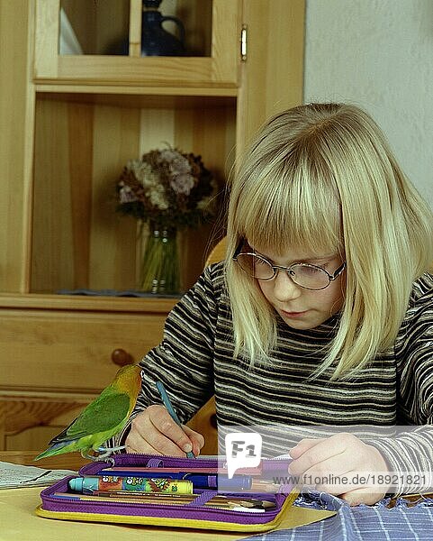 Girl with Fischer's Lovebird making homework  Mädchen mit Pfirsichköpfchen macht Hausaufgaben  Pfirsichköpfchen (Agapornis fischeri)  Fischers Unzertrennlicher