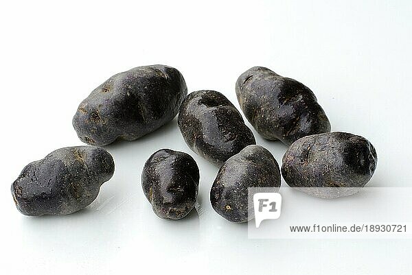 Kartoffeln (Solanum tuberosum) 'Vitelotte'  blaue französische Trüffelkartoffel  Blaue französische Trüffelkartoffel  Urkartoffel