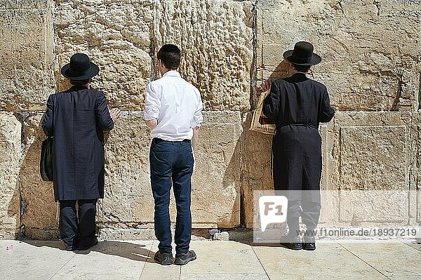 Jerusalem Israel. Orthodoxe Juden beten an der Klagemauer