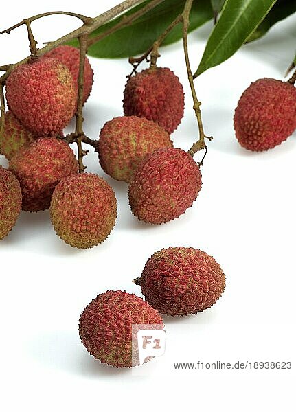 Litschi oder Litschi  litchi sinensis  exotische Früchte vor weißem Hintergrund