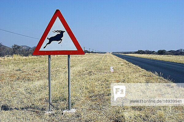 Warnschild Großer Kudu (Tragelaphus strepsiceros)  Straßenschild  Namibia  Afrika