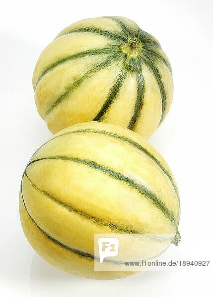 Cavaillon Melone (cucumis melo)  Früchte gegen weißen Hintergrund