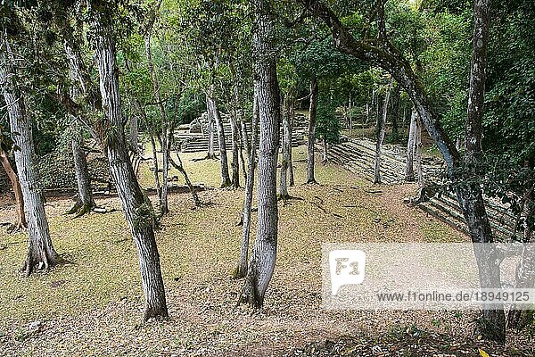 Blick auf Area Residencial und El Cementerio  Wohngebiet und Begräbnisstätte der Oberschicht  Sitio Arqueologico de Copan  Copan Ruinas  Honduras  Mittelamerika