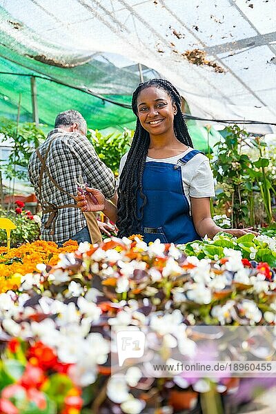Porträt einer glücklichen schwarzen ethnischen Frau  die in einem Gewächshaus Pflanzen und Blumen schneidet