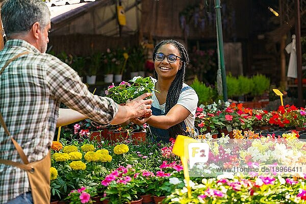 Zufriedene Kundin kauft Blumen von einem Gärtner in einer Gärtnerei im Gewächshaus