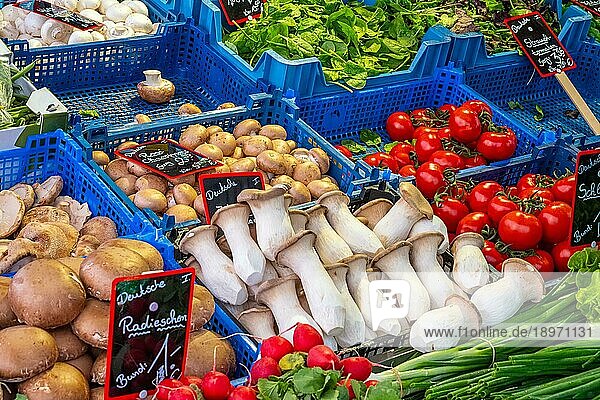 Verschiedene Arten von Pilzen und anderem Gemüse zum Verkauf auf einem Markt