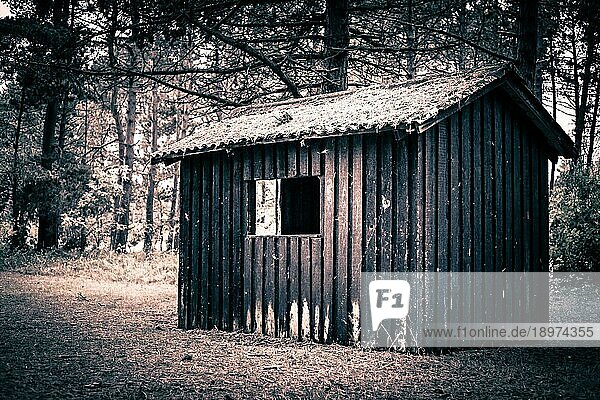 Gespenstische Hütte in einem dunklen und geheimnisvollen Wald