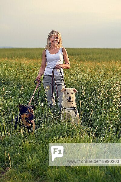 Attraktive blonde Frau in einem Feld mit üppigem langen grünen Frühlingsgras mit ihren beiden Hunden an der Leine bei Sonnenuntergang  die mit einem warmen freundlichen Lächeln in die Kamera schaut