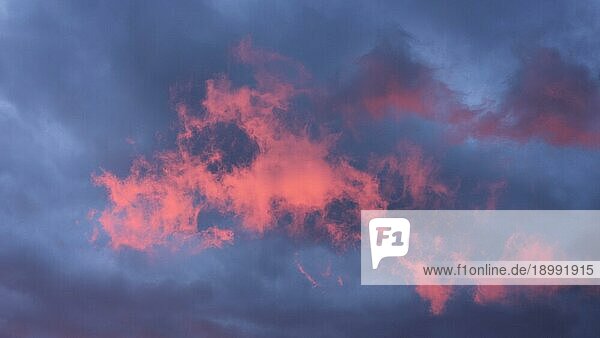 Rosa Wolke  die kurz nach Sonnenaufgang für einen kurzen Moment auftaucht. Szene in Dalsland  Schweden  Europa