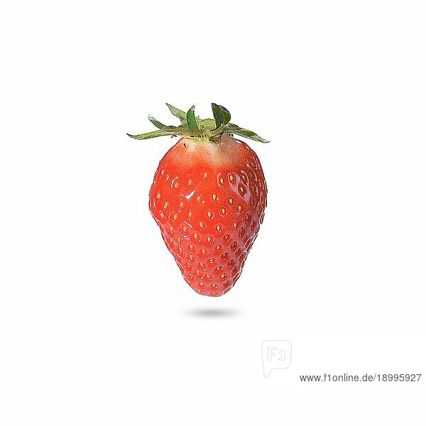 Nahaufnahme einer reifen Erdbeere  natürliche Quelle von Vitamin C  Kalium und Antioxidantien  mit Schatten  auf weißem Hintergrund