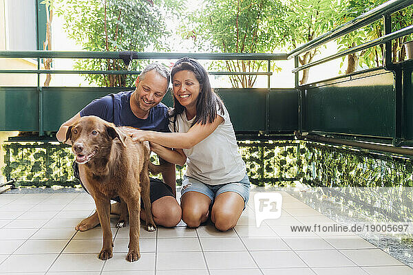 Smiling couple spending leisure time with dog in balcony
