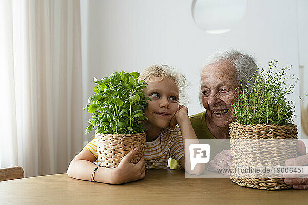 Smiling grandmother and granddaughter holding house plant on table
