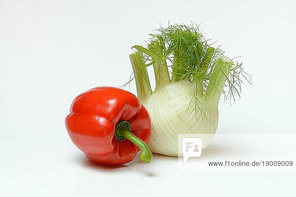 Frisches Gemüse  Fenchel  rote Paprika