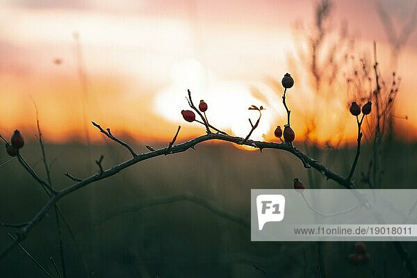 Friedliche Aussicht Sonnenuntergang Licht 2. Auflösung und hohe Qualität schönes Foto