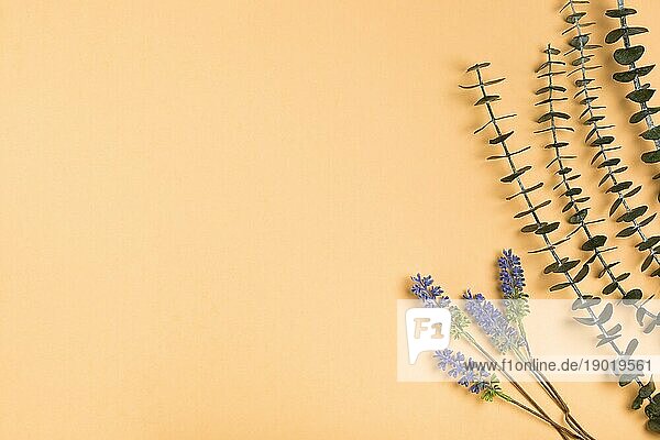 Draufsicht natürliches Lavendelpapier. Schönes Foto