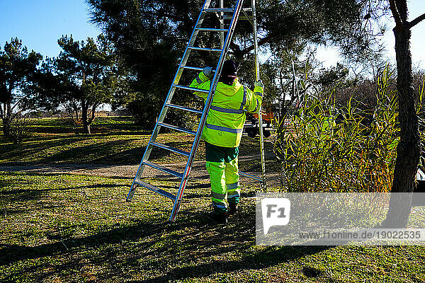 ESAT of the ADAGES association. Work Assistance Establishment and Services. Disabled workers during green space maintenance workshops. Workers must clear trees of caterpillar nests.