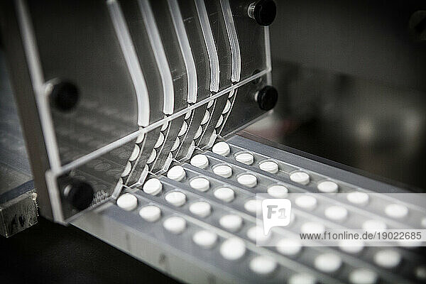 Pharmaceutical production unit specializing in the packaging and distribution of tablets.