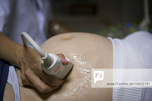 Ultrasound of a pregnant woman at 6 months of pregnancy in the maternity ward of a hospital.